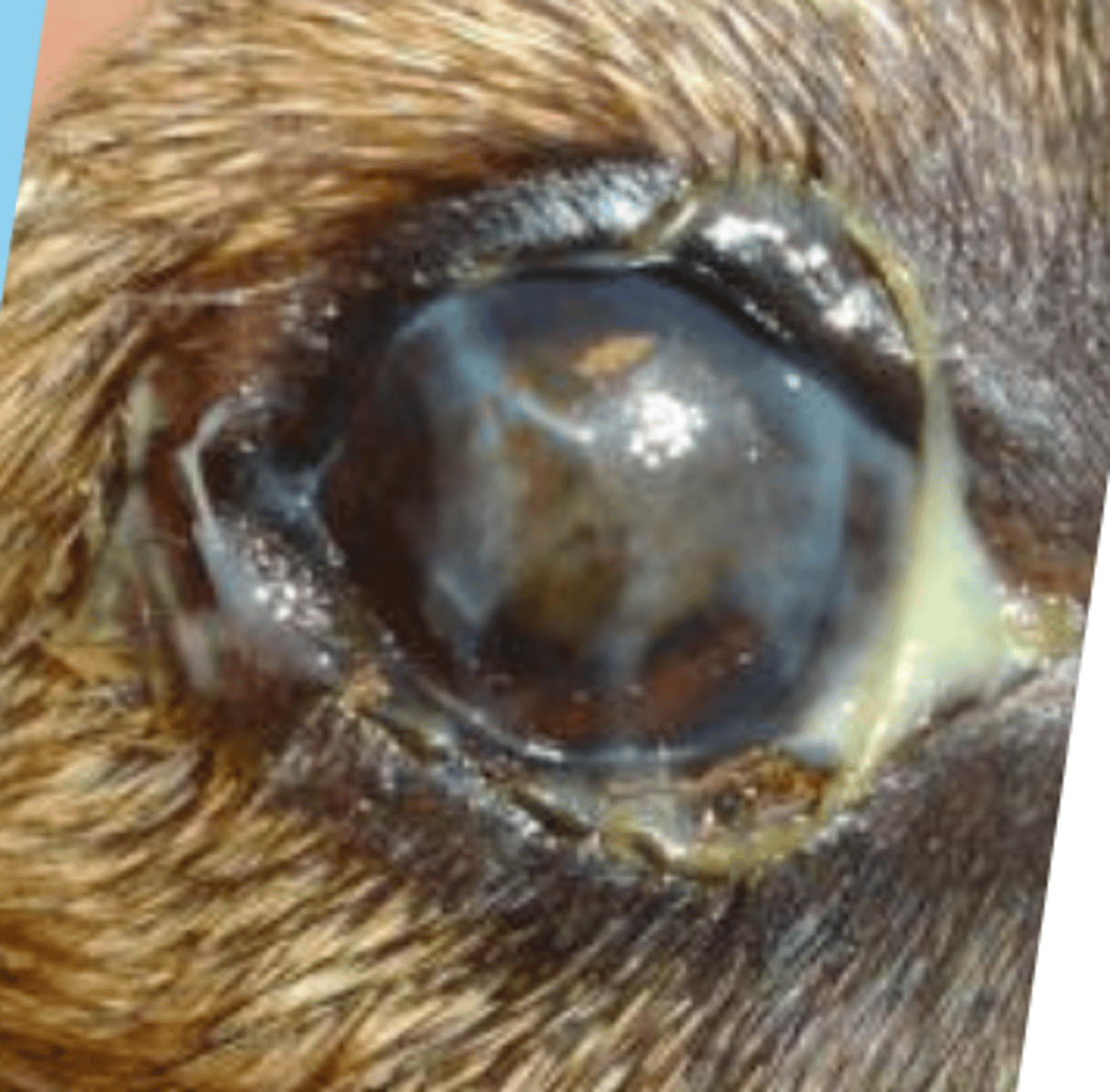 <p>what is this called?</p>