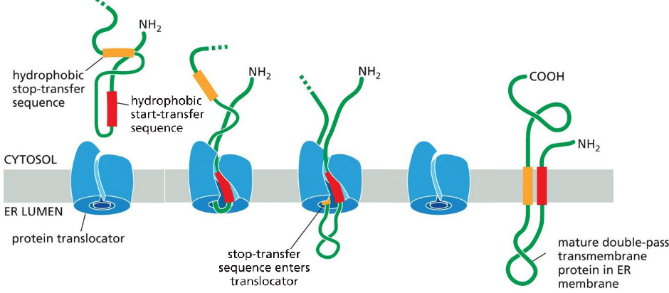 <p>Start-transfer sequence</p>