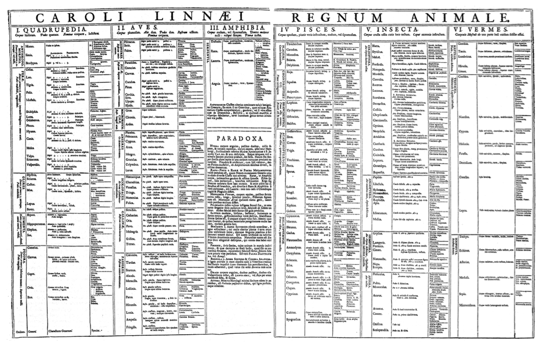 <ul><li><p>Système de classification des êtres vivants basé sur des catégories taxonomiques telles que genre et espèce, but d’améliorer l'organisation et la compréhension de la biodiversité </p><p>→ classification binomiale</p></li><li><p>Choix de différencier les plantes à partir d’un critère unique </p><p>→ nombre d’organe(s) reproducteur(s) </p></li><li><p>Première classification systématique </p></li></ul><p></p>