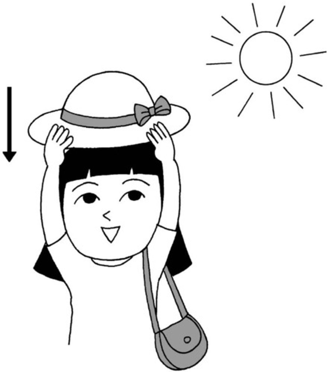 <p>かぶる</p>