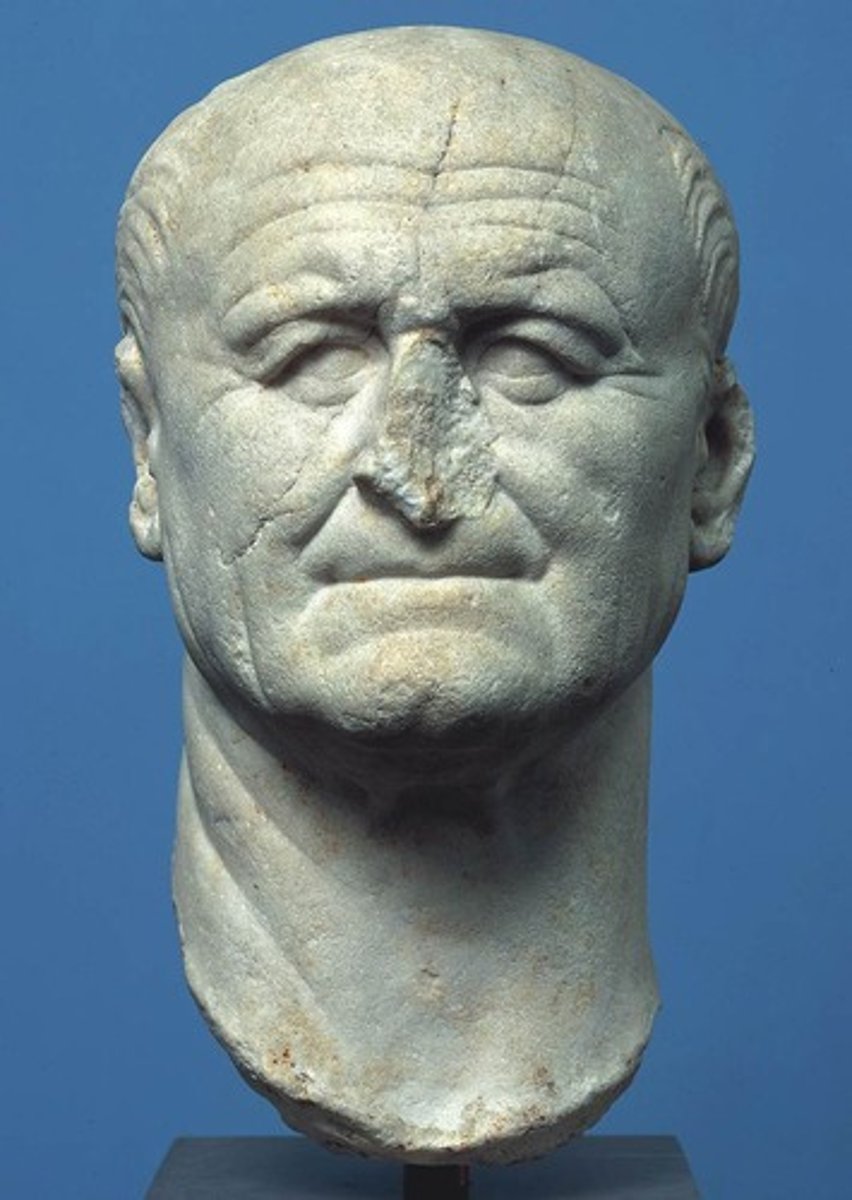 <p>Name: Portrait Head of the Emperor Vespasian, perhaps carved from a portrait of Nero</p><p>Time Period: 70-90 CE</p><p>Medium: Marble</p>
