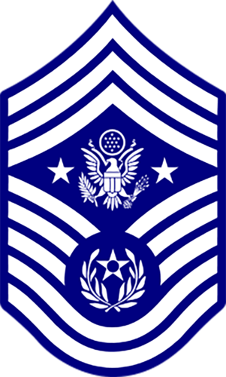 <p>Air Force: E-9</p>