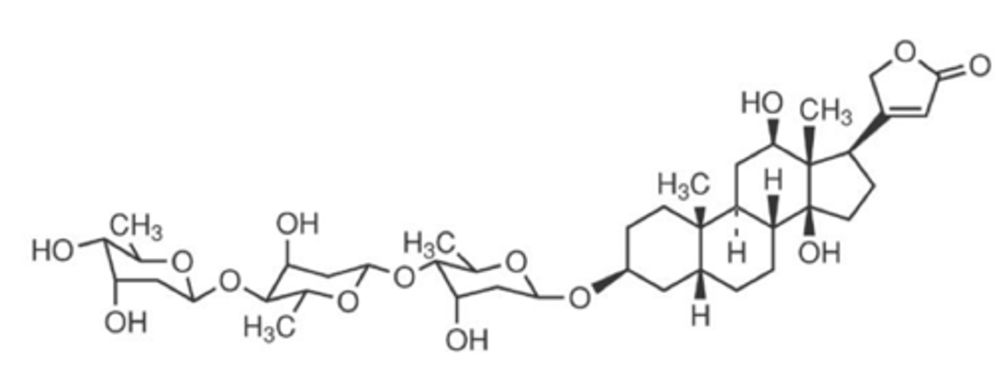 <p>what is this structure</p>