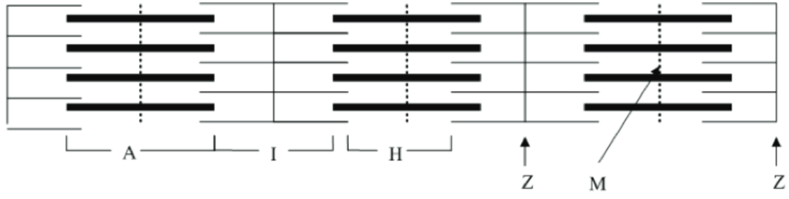 <p>the what does the picture show? What do each letters represent?</p>