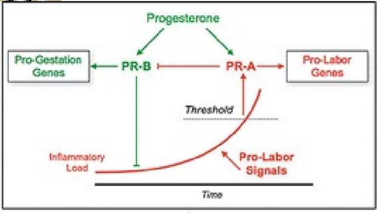 <p>Increased inflammatory load</p>