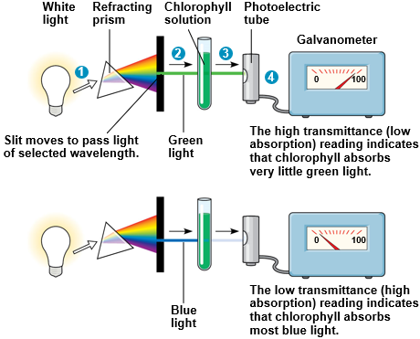 Researching Method: Determining an Absorption Spectrum