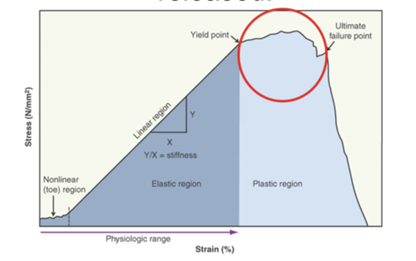 <p>plastic deformation</p><p>- overstrained tissue is permanently deformed and energy cannot be recovered once load is released</p>