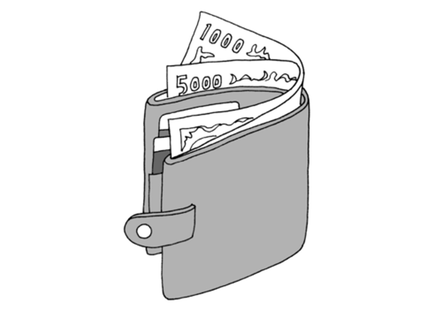 <p>wallet</p>