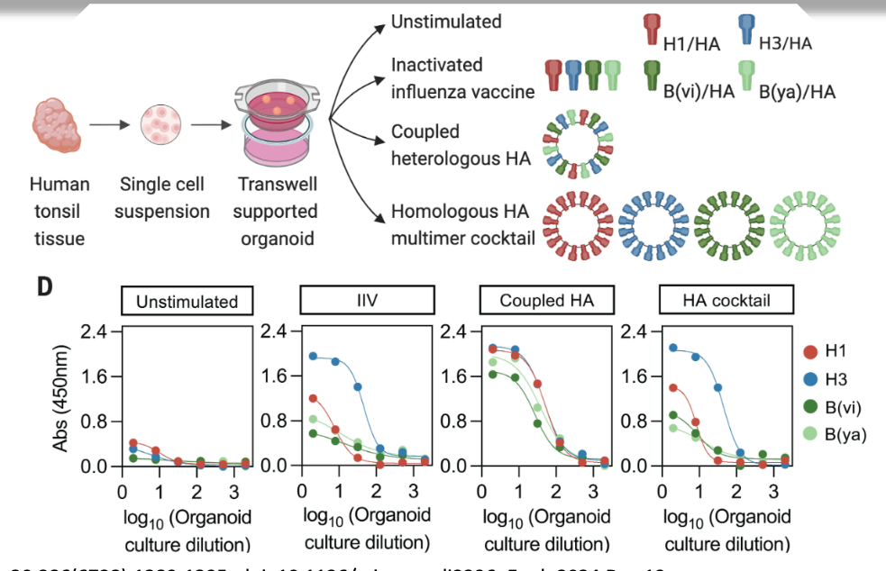 <p>what does this data show?</p>