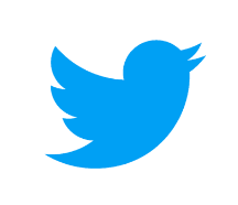 <p>Twitter (X)</p>