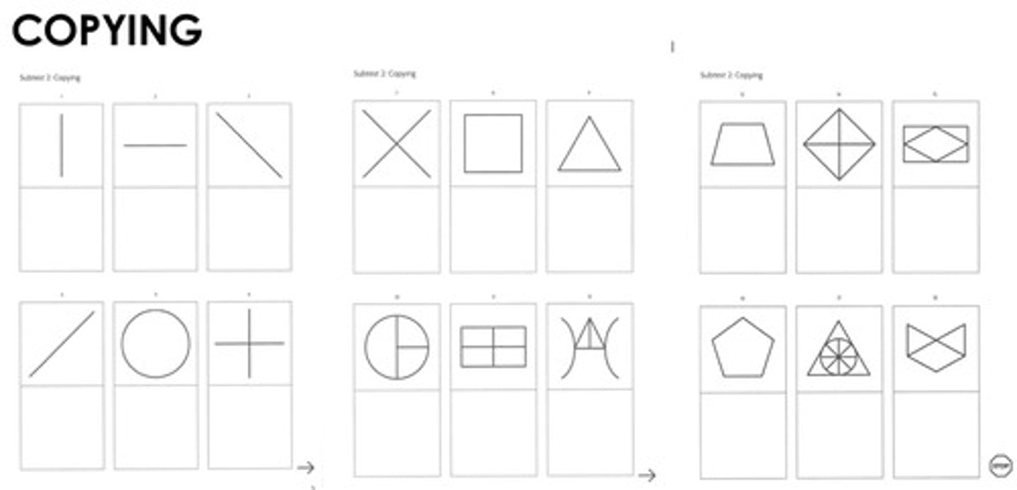 <p>- Not a TRUE non-motor test (some sections require patient to use hands to draw or trace)</p><p>- Can measure their abilities for visual-motor</p><p>-has both timed and untimed components</p>