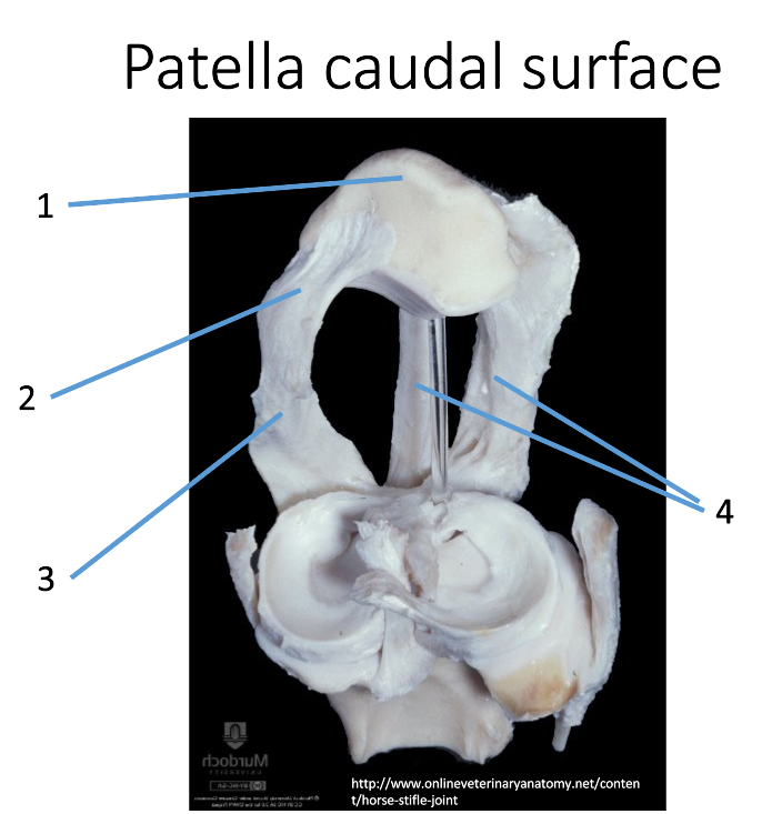 <p>1</p>