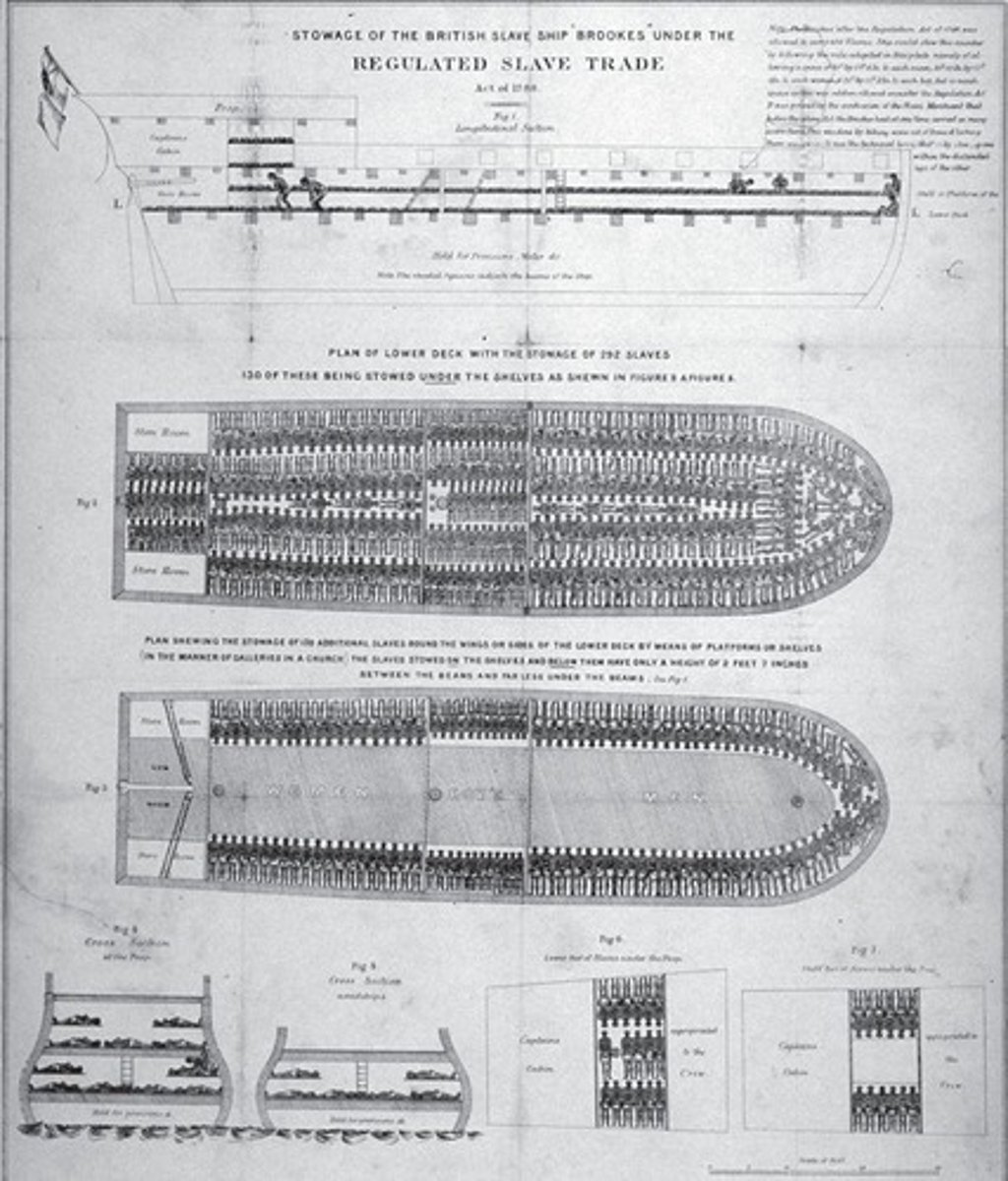 <p>A British warship that enforced the ban on the Atlantic slave trade and rescued people from a slave ship.</p>