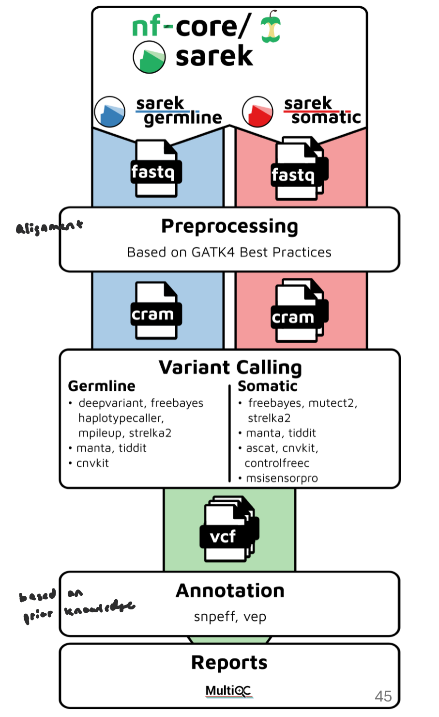 <ul><li><p>nf-core/sarek is a workflow designed to detect variants on genome sequence data</p></li><li><p>can work on any species w/ a reference genome</p></li><li><p>can handle tumour/normal pairs</p></li><li><p>built using nextflow (a workflow tool)</p><ul><li><p>uses Docker/Singularity containers making installation trivial and results highly reproducible</p></li></ul></li></ul><p></p>