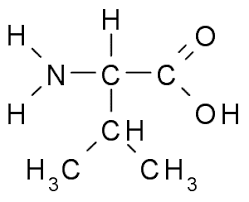 <p>name the aminoacid, group and structure facts?</p>