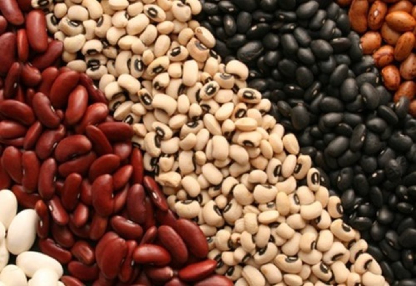 <p>bean, beans</p>