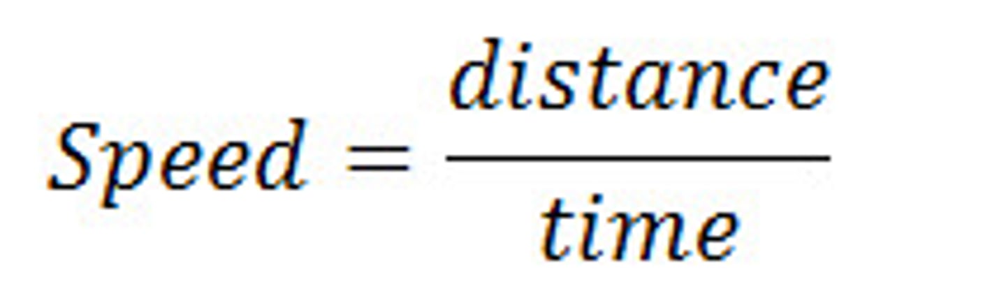<p>How fast or slow something is moving, such as 60 km/h , or 6 cm/s. Divide the distance traveled by the time traveled</p>