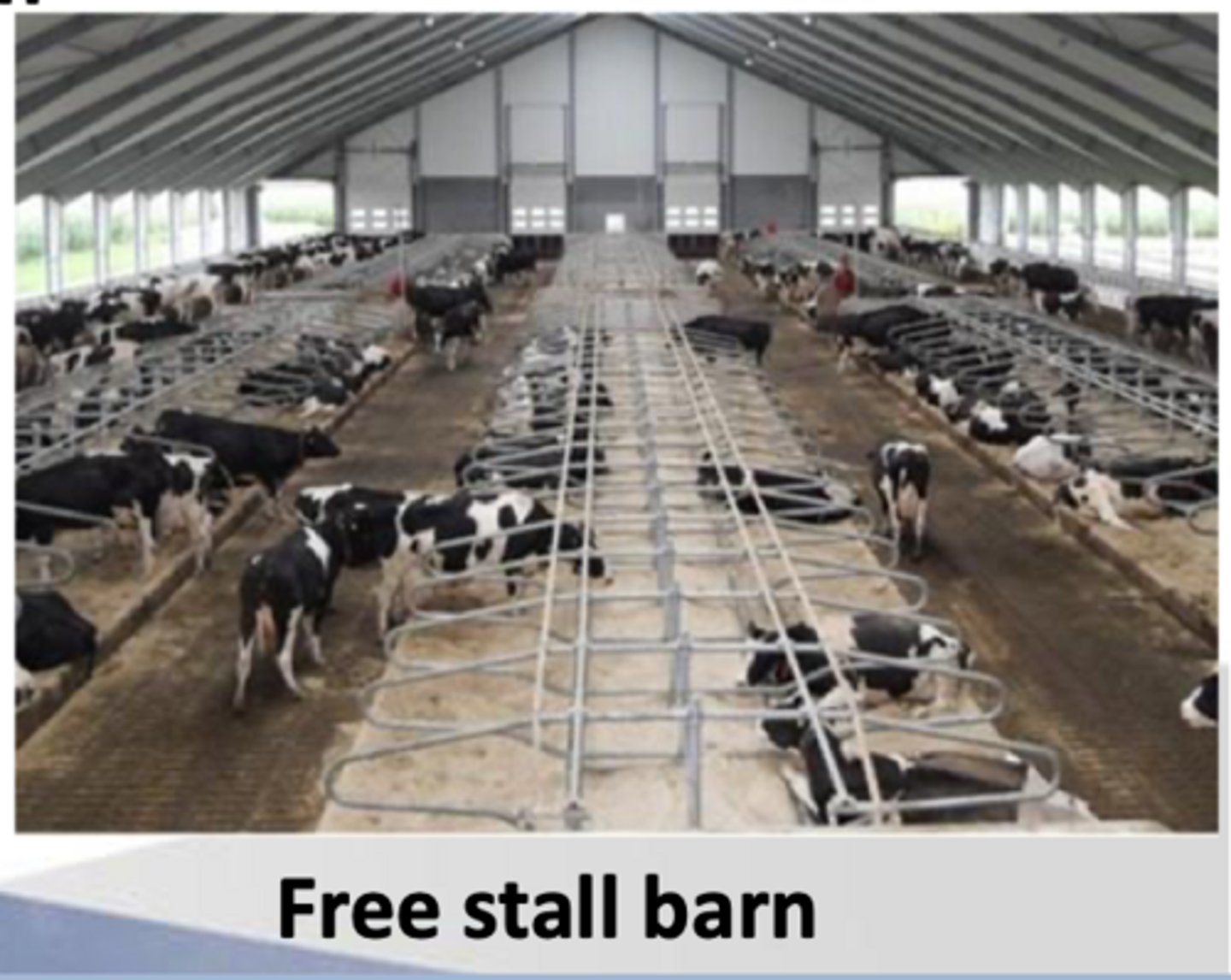 <p>how would you describe a free stall + parlor confinement system</p>