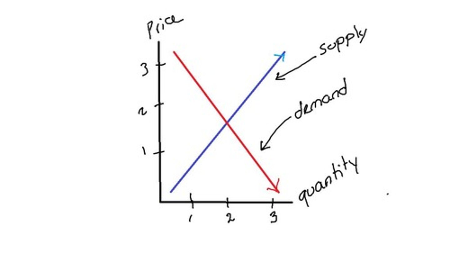 <p>Point where supply equals demand in a market.</p>