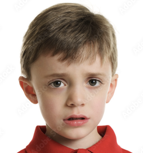 <p></p>