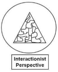 <p>symbolic interactionism</p>