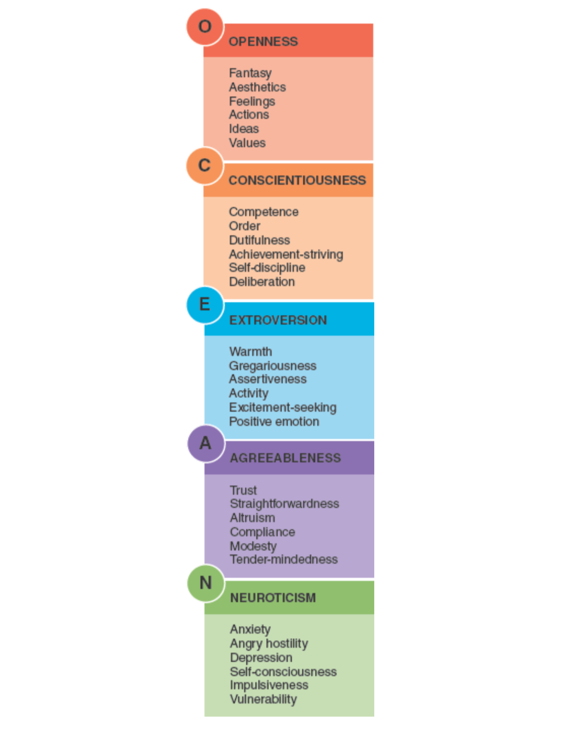 <p><u>Identifies 5 traits [O.C.E.A.N]:</u></p><ul><li><p>Openness to experience</p></li><li><p>Conscientiousness </p></li><li><p>Extroversion (surgency)</p></li><li><p>Agreeableness</p></li><li><p>Neuroticism</p></li></ul><p></p>