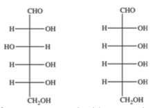<p>How many chirality centers are present in both compounds shown above?</p><ul><li><p>2</p></li><li><p>3</p></li><li><p>4</p></li><li><p>5</p></li><li><p>6</p></li></ul><p></p>