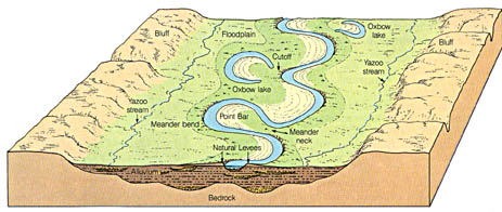 <p>Place of low velocity where deposition occurs</p>