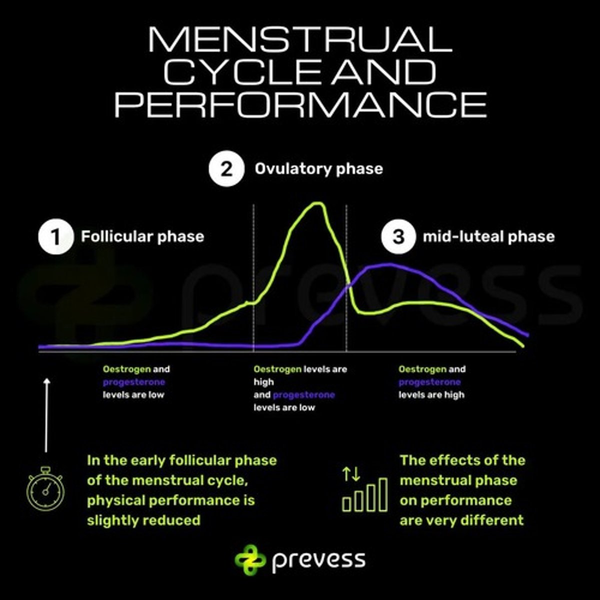 <p>A recurring series of hormonal changes that prepares the body for potential pregnancy, consisting of four phases.</p>