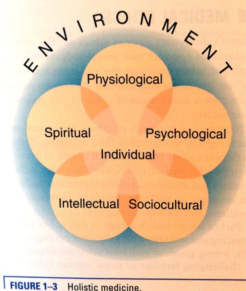 <p>phương pháp học toàn diện</p>