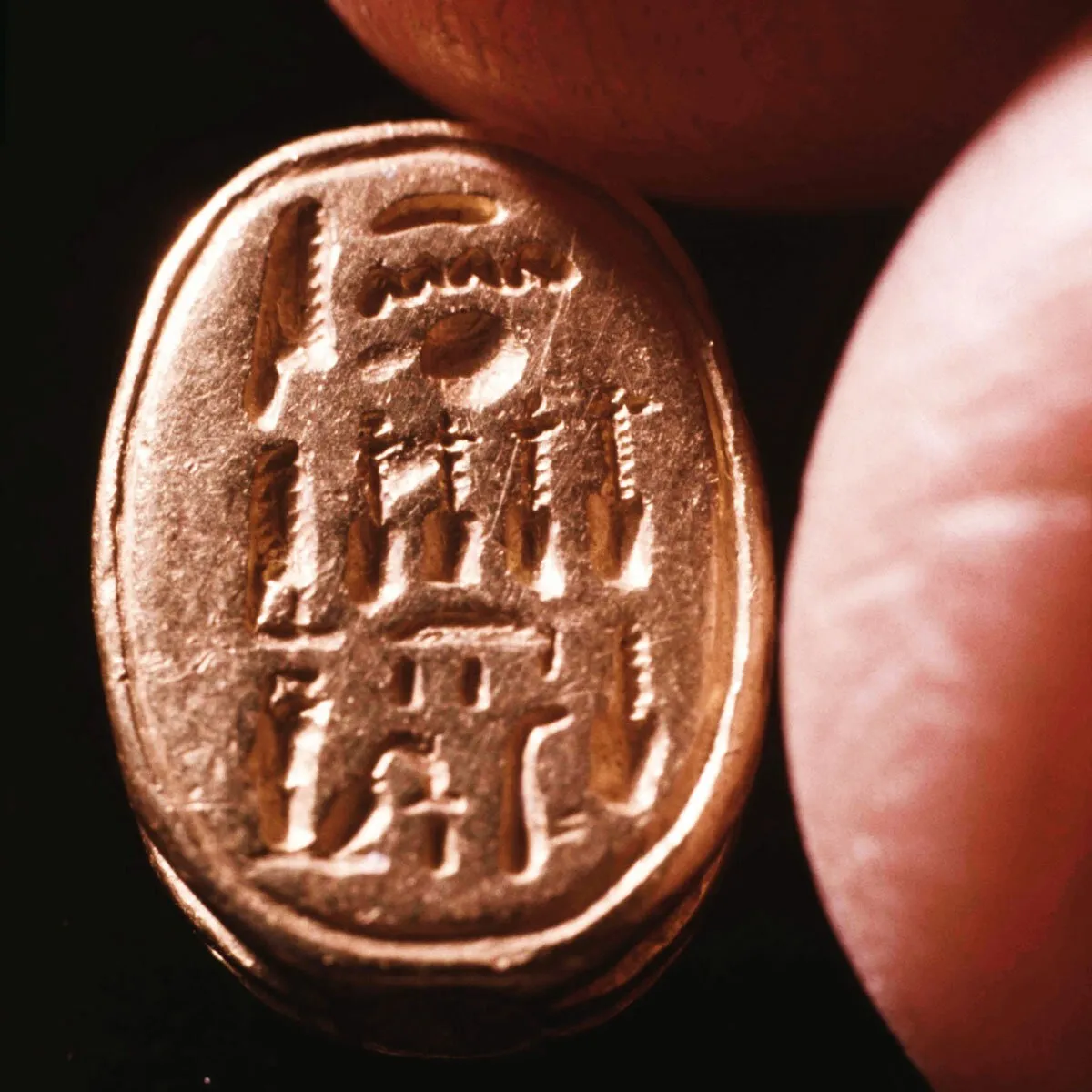 <p>More significant objects </p>