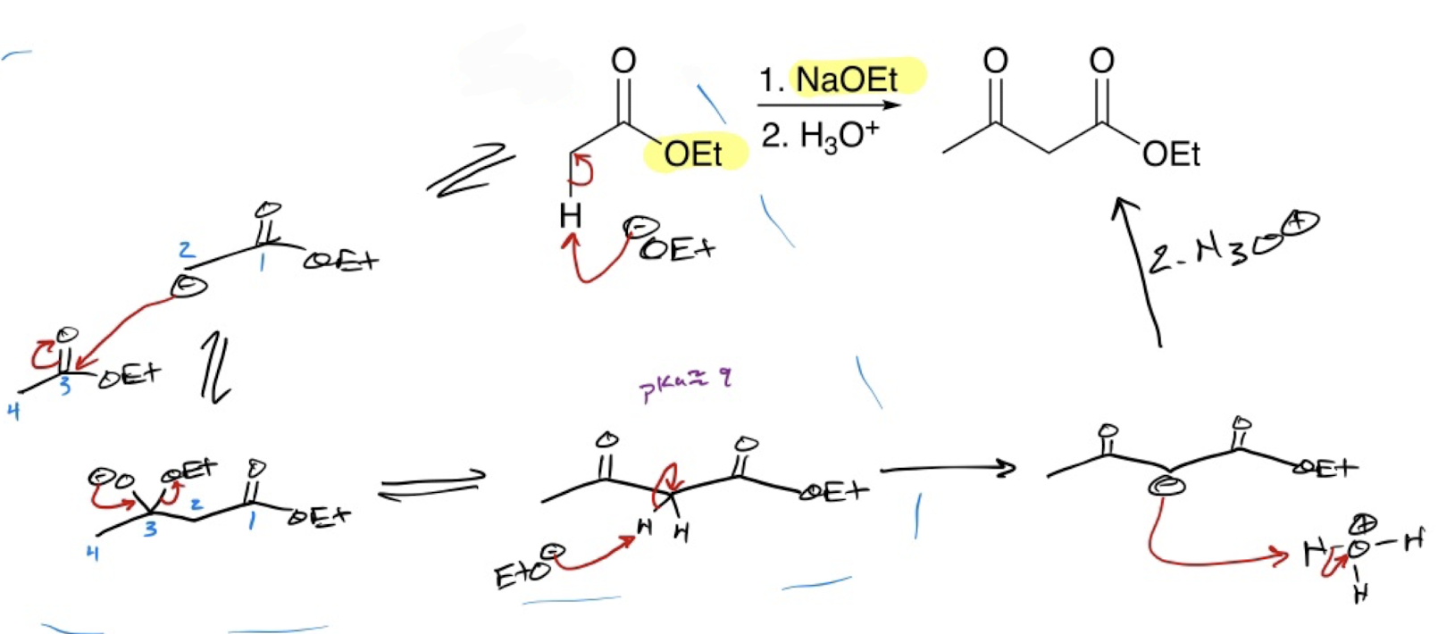 <p>Claisen Oxygen Base</p>