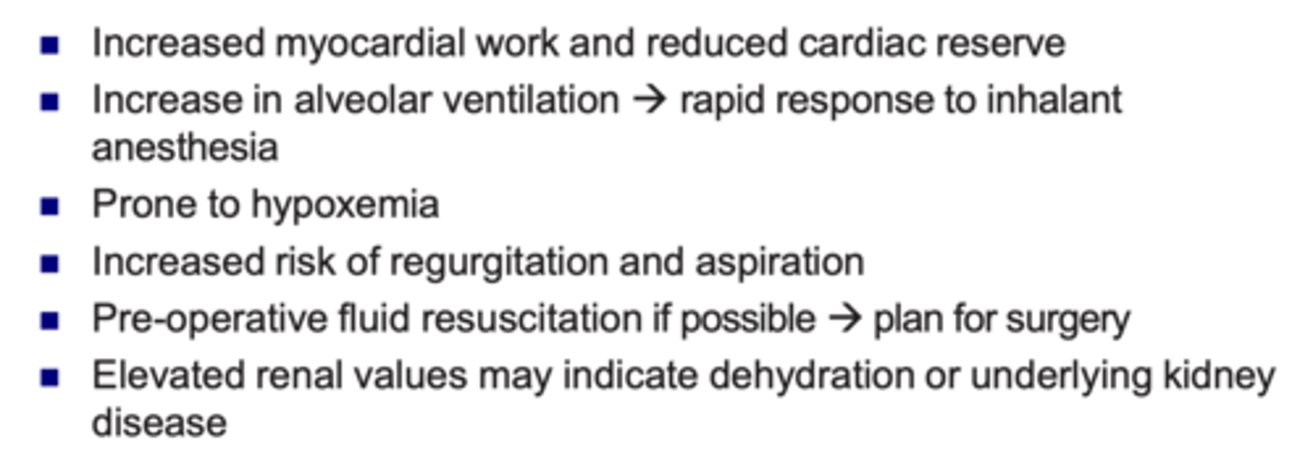 <p>what is shown here</p>
