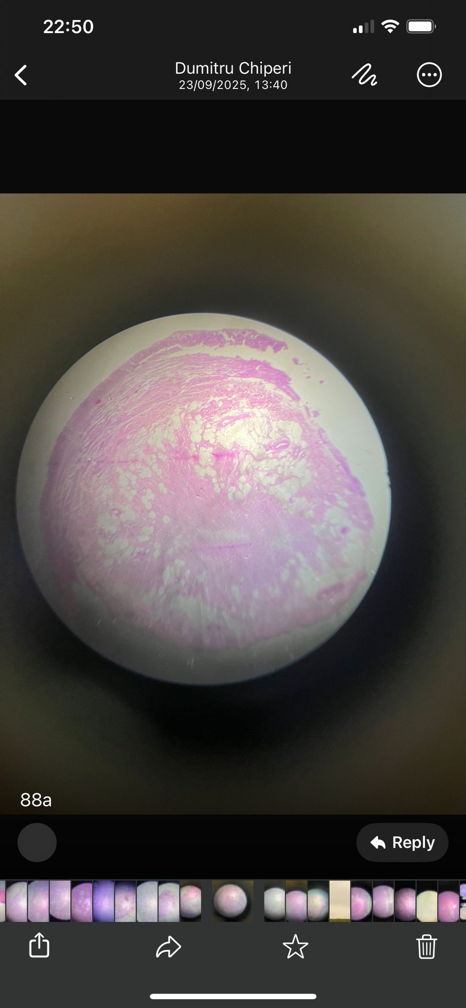 knowt flashcard image