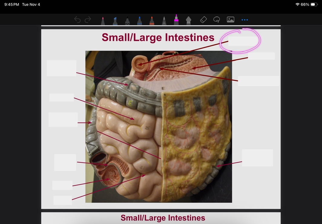 <p>What is this?</p>