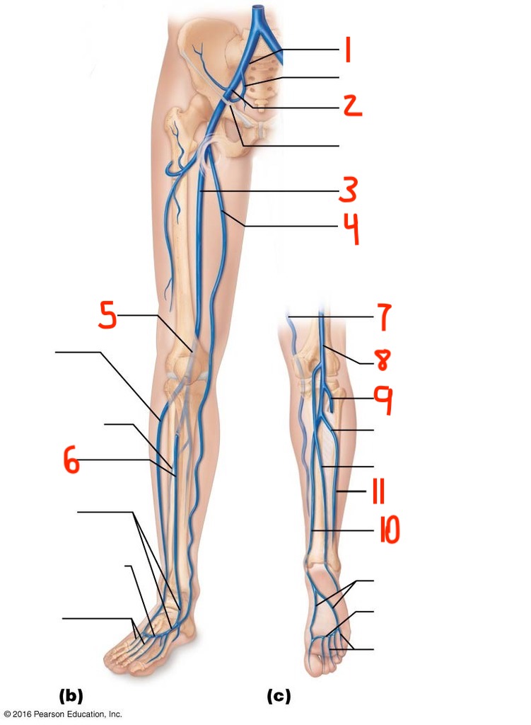 <p>1</p>