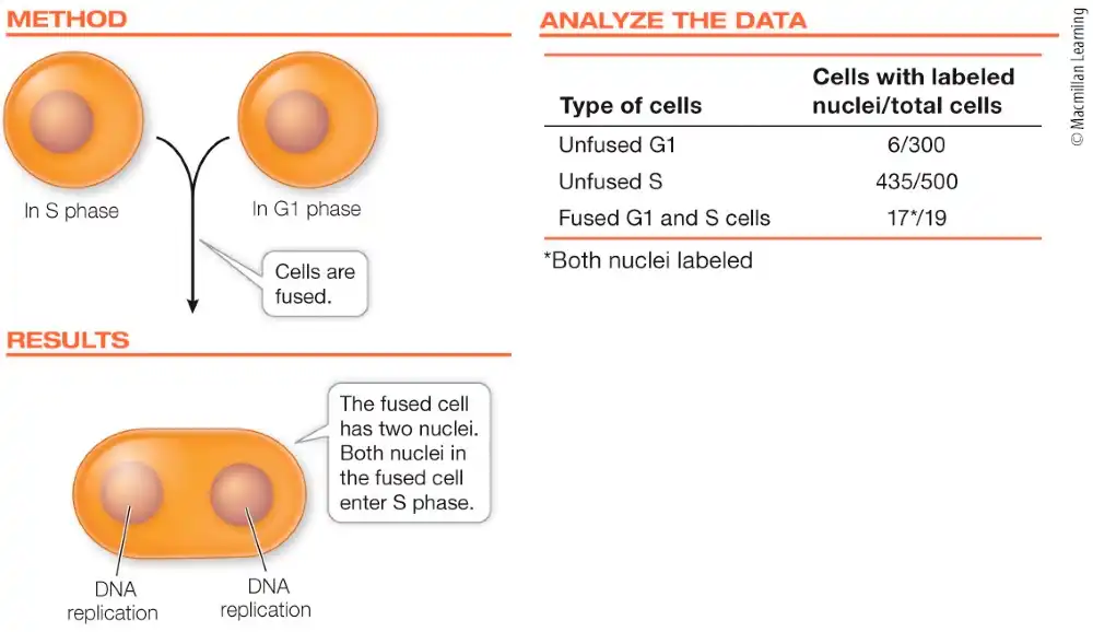 <p>What is a conclusion that can be drew from this data?</p>