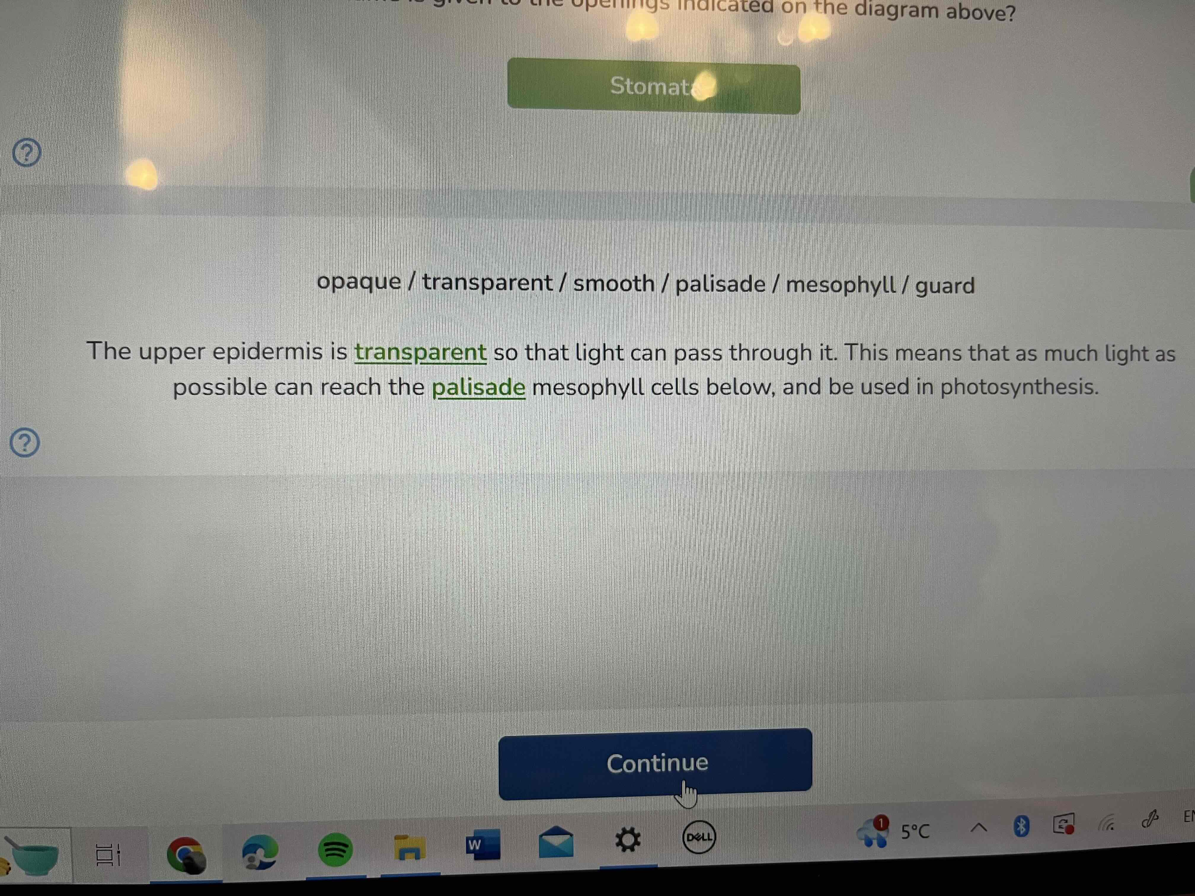 knowt flashcard image
