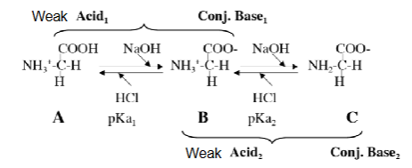 <p>When titrating, what can be seen in the first stage</p>