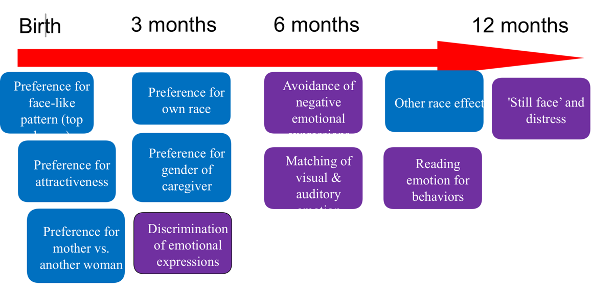<ul><li><p>other race effect</p></li><li><p>reading emotion for behaviors</p></li></ul>