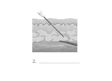 <p>2</p>