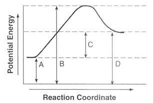 <p>Name the numbers on the graph </p>