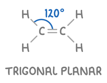 <ul><li><p>they are trigonal planar shape 120 degrees</p></li><li><p>the 3 regions of electron density around each carbon atom means that they will repel each other as far apart as possible</p></li><li><p> the C=C and the atoms bonded to these carbons all lie in the same planar</p></li><li><p>in the imagine that is planar but if one of the H is replaced with CH<sub>3 </sub>then it is non planar</p></li></ul><p></p>
