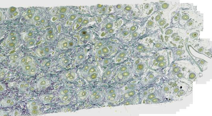 <p>What is this?</p>