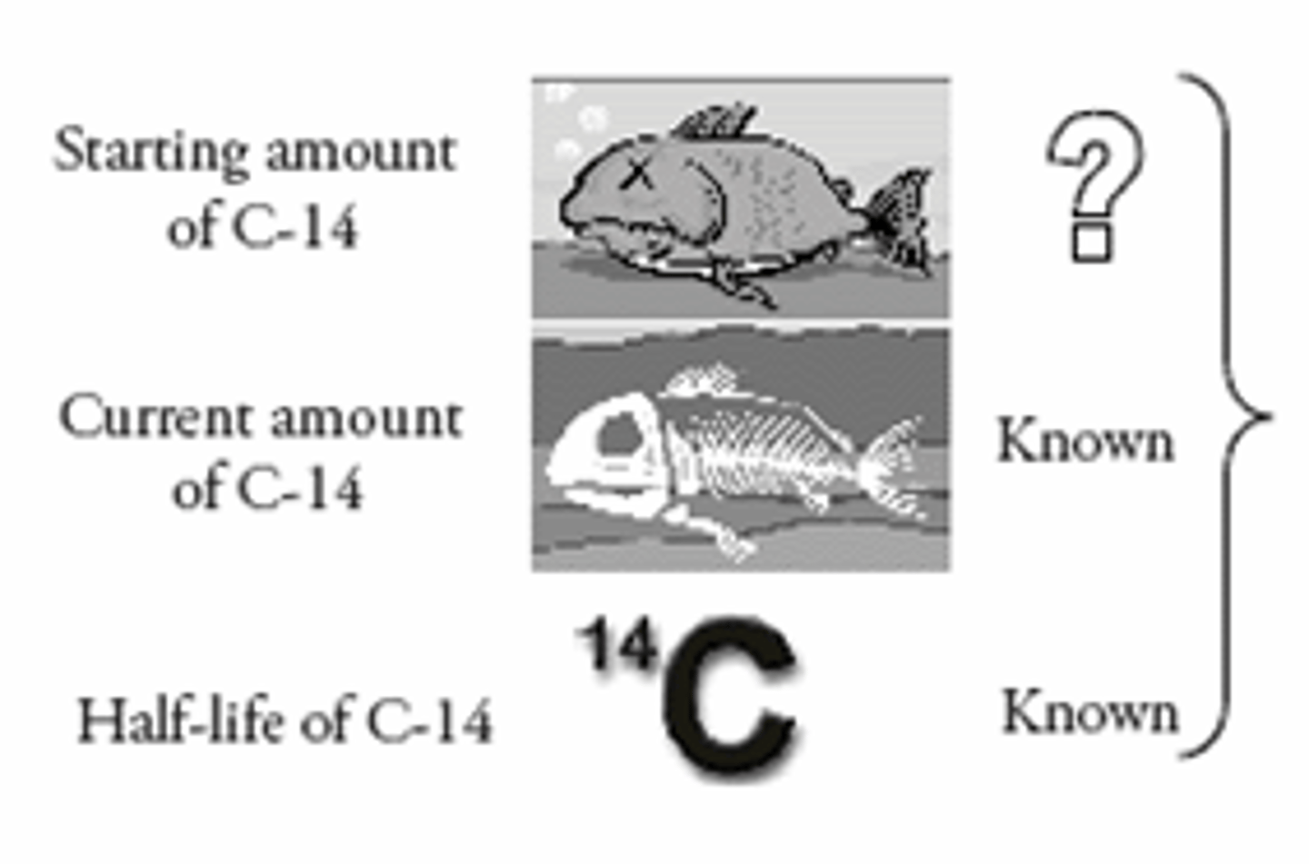 <p>(np) /ˈlɪvɪŋ/ /ˈɔːɡᵊnɪzᵊm/ sinh vật sống</p>
