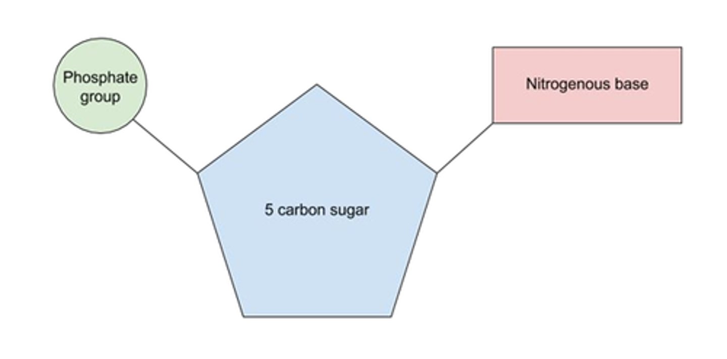knowt flashcard image