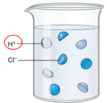<ul><li><p>These are substances that releases hydrogen ion (H+) when dissolved in water.</p></li><li><p>If the pH scale is less than 7.</p></li></ul><p></p>