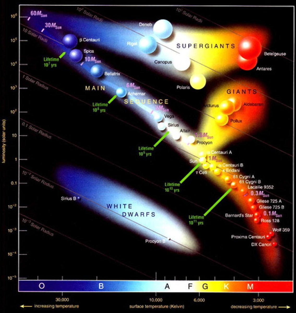 <p>-Main sequence: diagonal line through middle, majority of stars SUN included in type G main sequence<br>-Giants: middle right below Supergiants, yellow/orange<br>-Supergiants: top right, redder stars, high luminosity &amp; low surface temp<br>-White Dwarfs: diagonal in bottom left, white/blue, remains of a star that ran out of fuel for nuclear fusion</p>