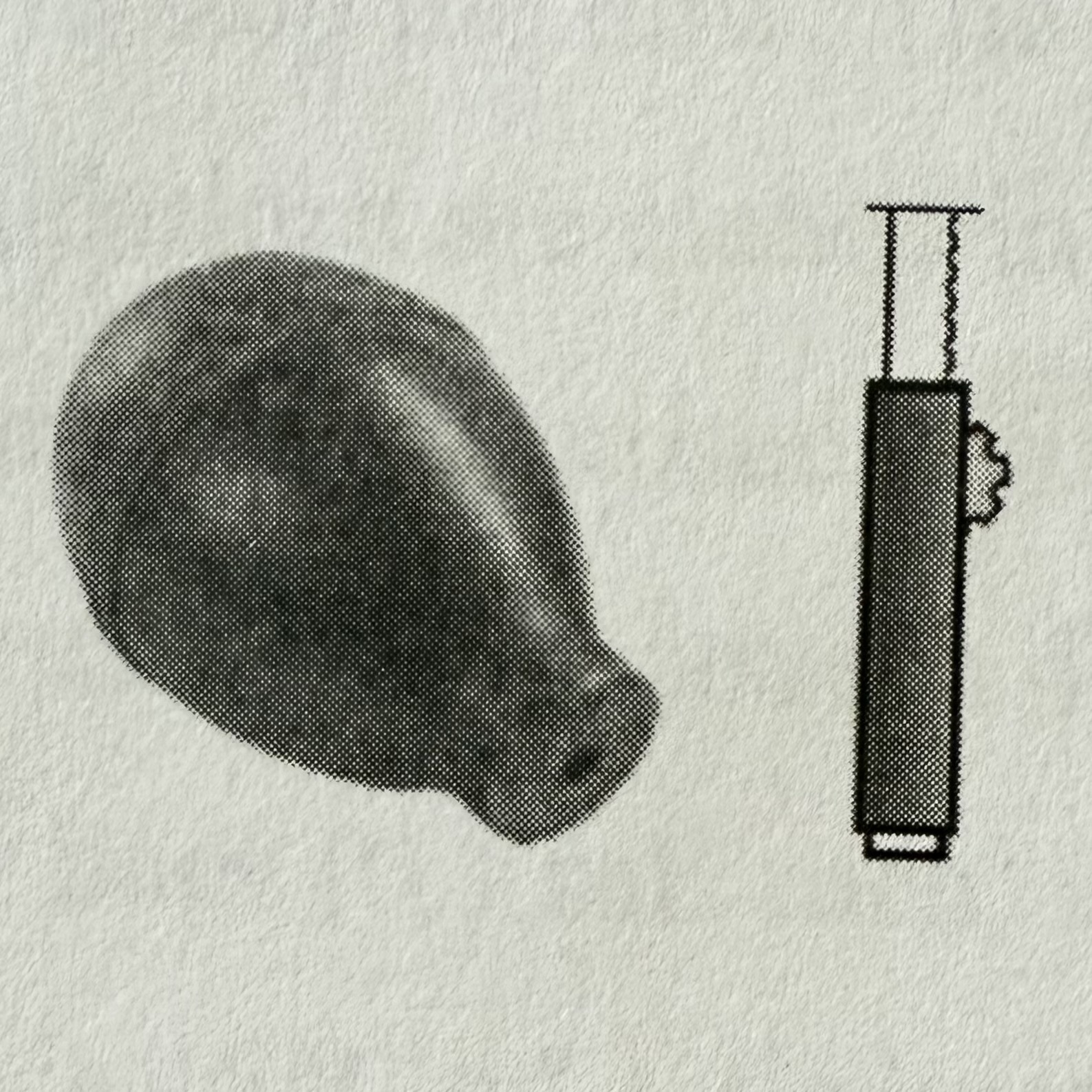 <p>Rubber bulb or mechanical device that attaches to a pipet to safely draw liquids by suction.</p>