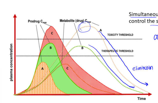 <p>the compound that is actually given to the patient, may not be the compound which is absorbed (metabolites are often the compounds absorbed)</p>